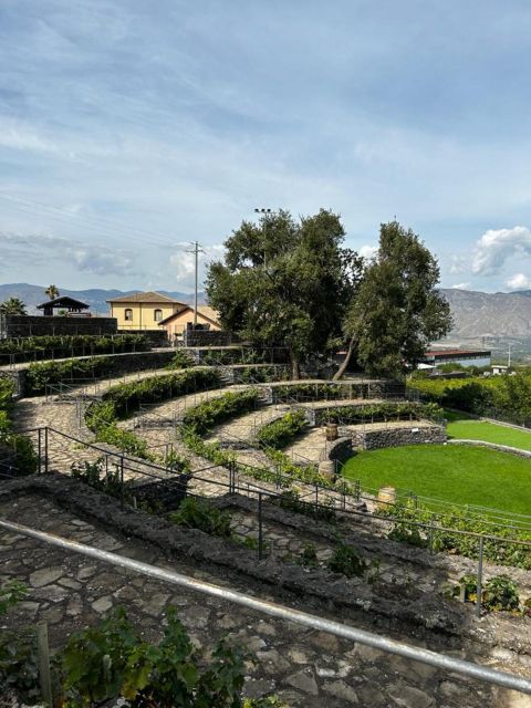 Etna: Wine Tasting and Food Tour - Transport and the role of the driver (more important than you think)