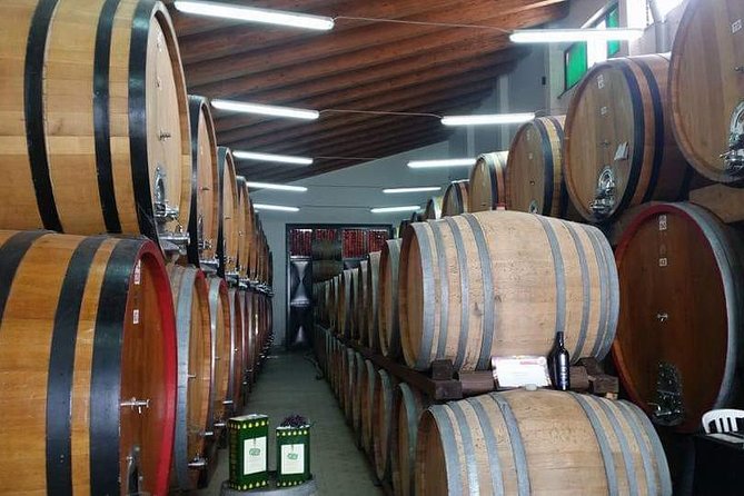 Etna Wine Tasting & Sicilian Lunch –Small Group Tour from Catania - Key highlights at a glance