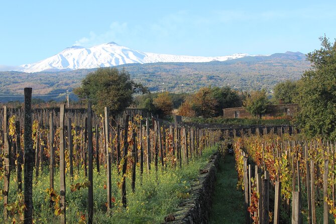 Etna Wine Tasting & Sicilian Lunch –Small Group Tour from Catania - Group Size, Pace, and Who Enjoys This Best