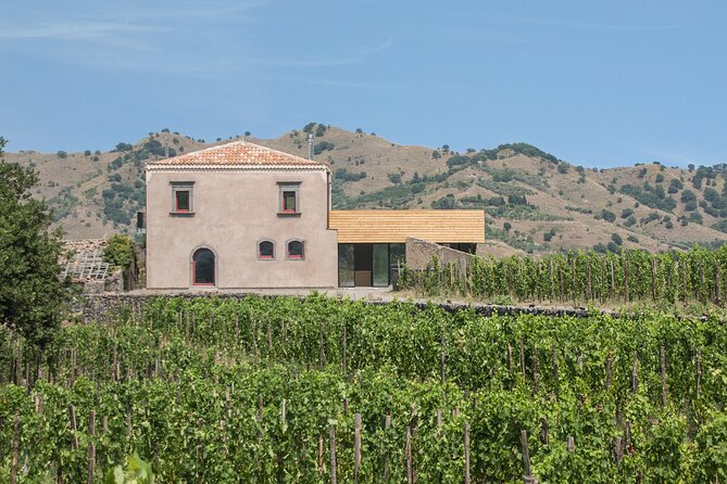 Etna Wine Tasting & Sicilian Lunch –Small Group Tour from Catania - The Best Way to Prepare So You Enjoy Every Stop