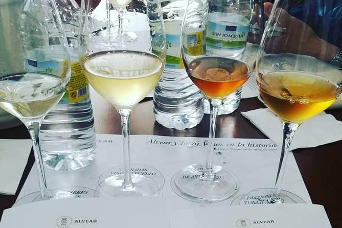 Evening Wine Tasting Córdoba - Montilla-Moriles wines: what you’ll taste and why it matters