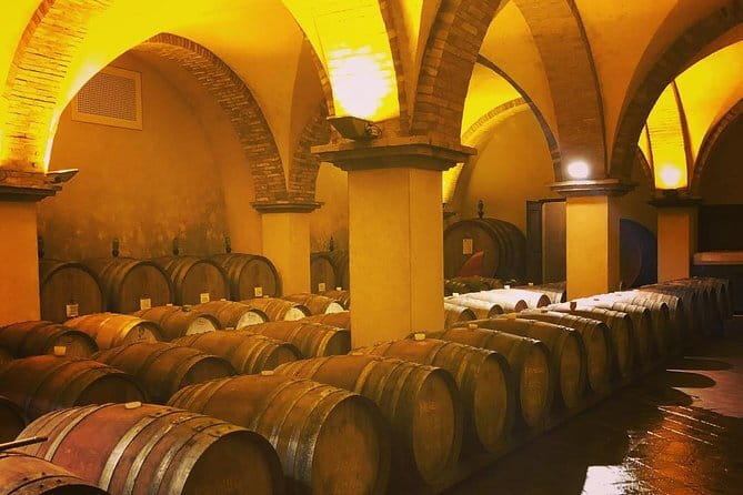 Exclusive Private Tuscany Wine Tour & Food Pairing Session - Key highlights to know before you go