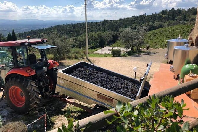 Exclusive Private Tuscany Wine Tour & Food Pairing Session - The Sommelier Advantage: What You Learn (Fast)