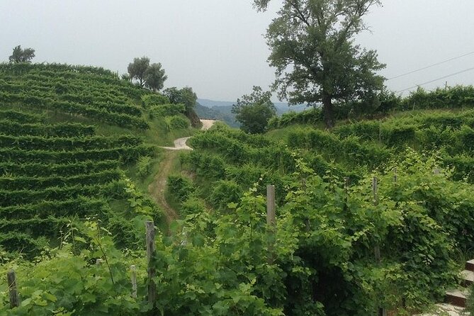 Exclusive Prosecco Wine Tour from Venice - Small Group - What You’ll Taste: Brut, Extra Dry, Millesimato, and Rosè