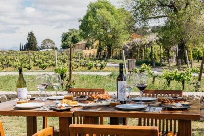 Familia Torres Winery: Gastronomic Tapas & Wine Experience - Why Familia Torres Feels Like a Real Winery, Not a Drive-By
