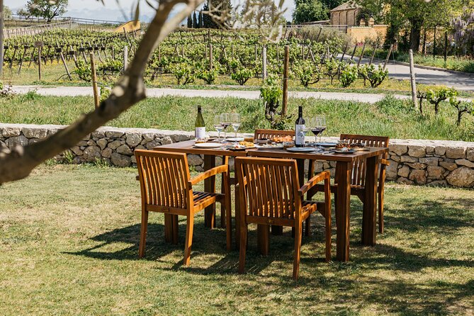 Familia Torres Winery: Gastronomic Tapas & Wine Experience - Stop 3 Brunch-Style Tapas and the Estate-Ingredient Meal