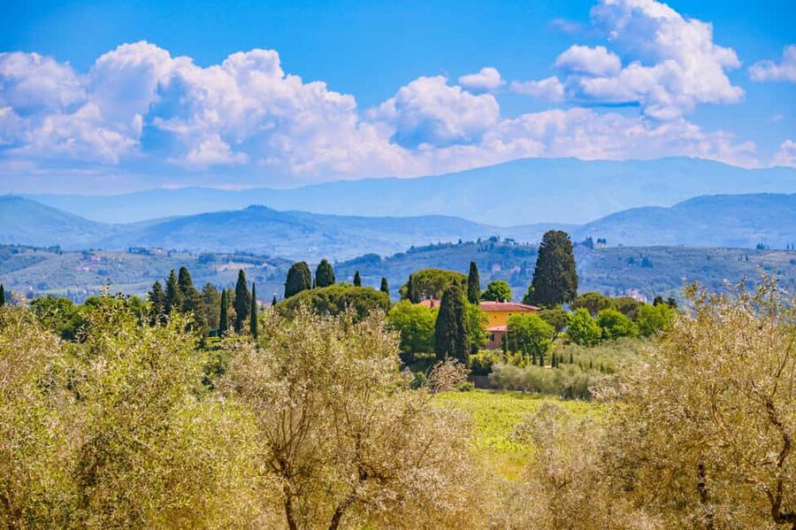 Florence: Chianti E-Bike Tour with Lunch & Two Wine Tastings - Winery stop and Chianti Classico lunch: where the wine story becomes real
