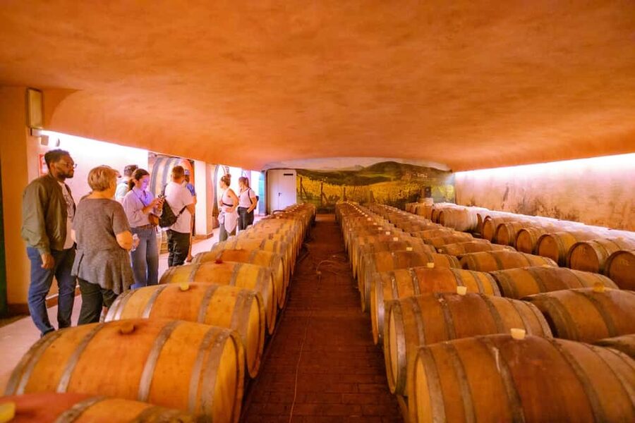 Florence: Chianti E-Bike Tour with Lunch & Two Wine Tastings - Small groups, guide style, and the little issues that can affect your day