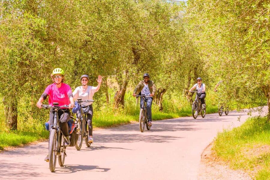 Florence: Chianti E-Bike Tour with Lunch & Two Wine Tastings - What to bring, and how to enjoy the heat and the hills