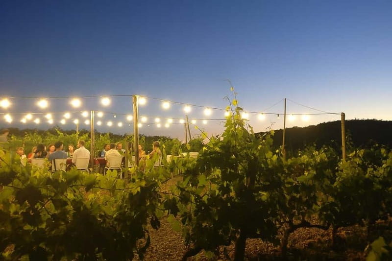 Florence: Chianti Vineyards Tour with Wine Tasting & Dinner - Who should book this Chianti vineyard dinner?