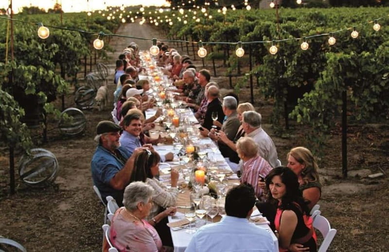 Florence: Chianti Vineyards Tour with Wine Tasting & Dinner - Aperitif and estate flavors before sunset