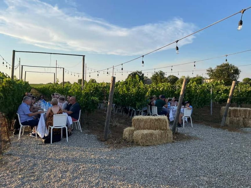 Florence: Chianti Vineyards Tour with Wine Tasting & Dinner - The candlelit vineyard dinner: local dishes with wine on the table