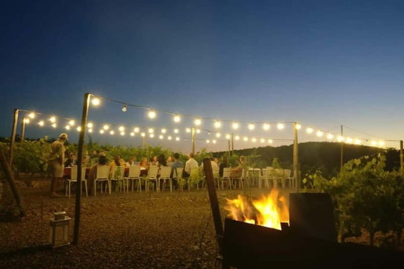 Florence: Chianti Vineyards Tour with Wine Tasting & Dinner - Timing, group size, and how the 8 hours tend to feel