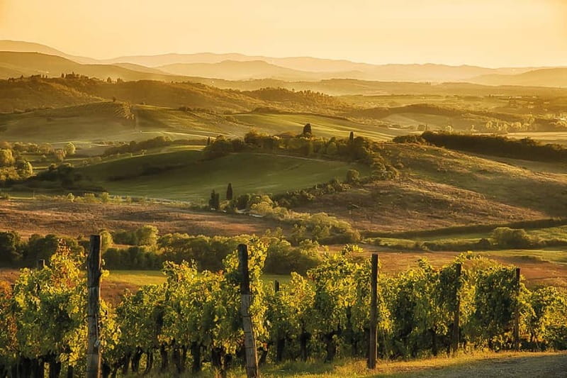 Florence: Chianti Vineyards Tour with Wine Tasting & Dinner - Tips so the evening stays comfortable