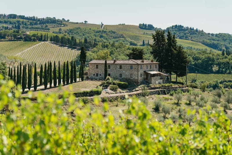 Florence: Chianti Wineries Tour with Wine Tasting - Stop One in Chianti: Cantina Welcome and the Chianti Classico Lesson