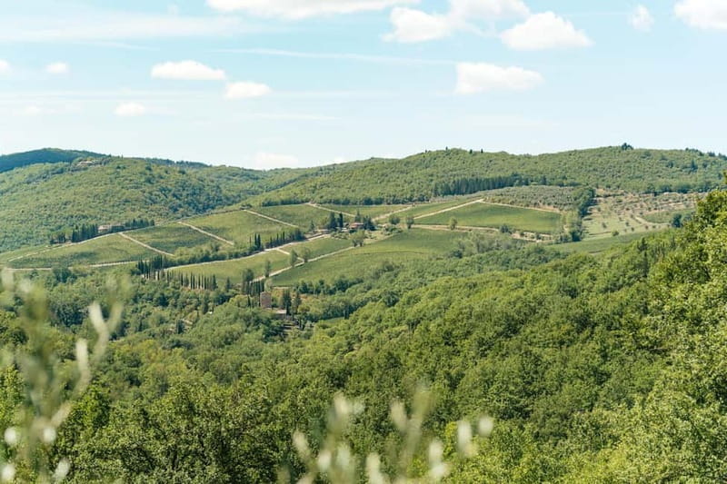 Florence: Chianti Wineries Tour with Wine Tasting - Stop Two: Seeing Another Style of Winery (and Why Weather Matters)