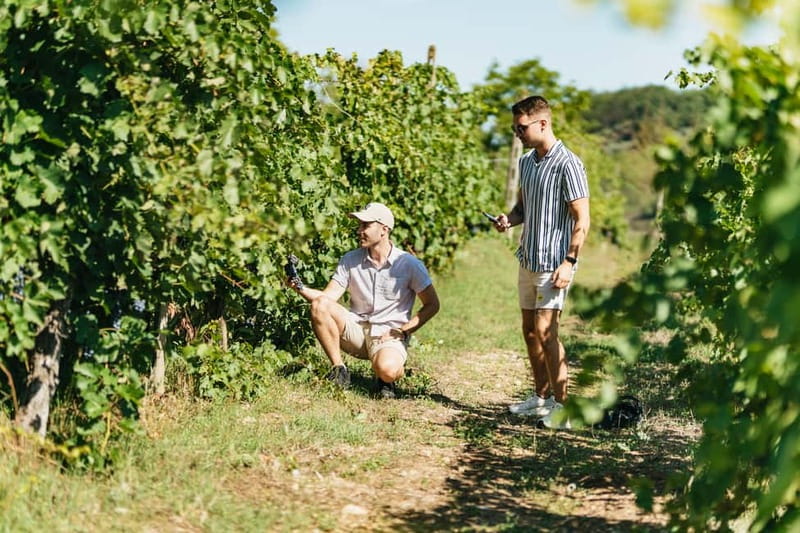 Florence: Chianti Wineries Tour with Wine Tasting - Price and Value: What $56.37 Buys You in Real Terms