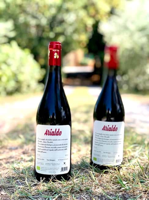 Florence: Countryside Tour with Wine Tasting & Pasta Class - From Piazza del Tiratoio to the Tuscan farm in about 45 minutes