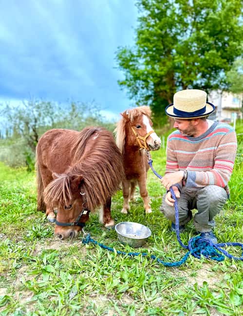 Florence: Countryside Tour with Wine Tasting & Pasta Class - Cellar tour and wine tasting: five organic wines plus Vin Santo