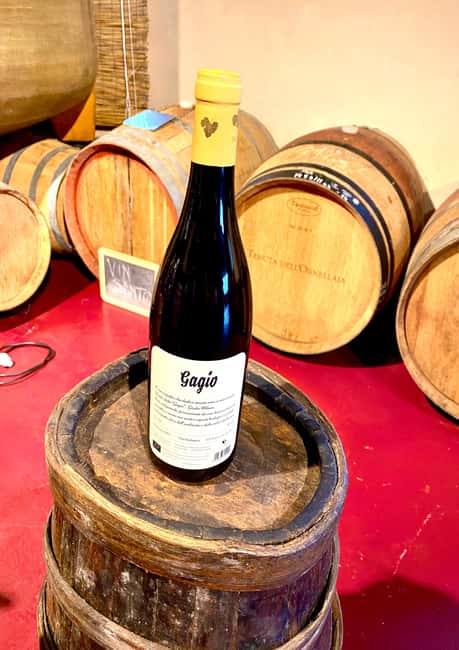 Florence: Countryside Tour with Wine Tasting & Pasta Class - Price and value: what $71 gets you, and what may cost extra