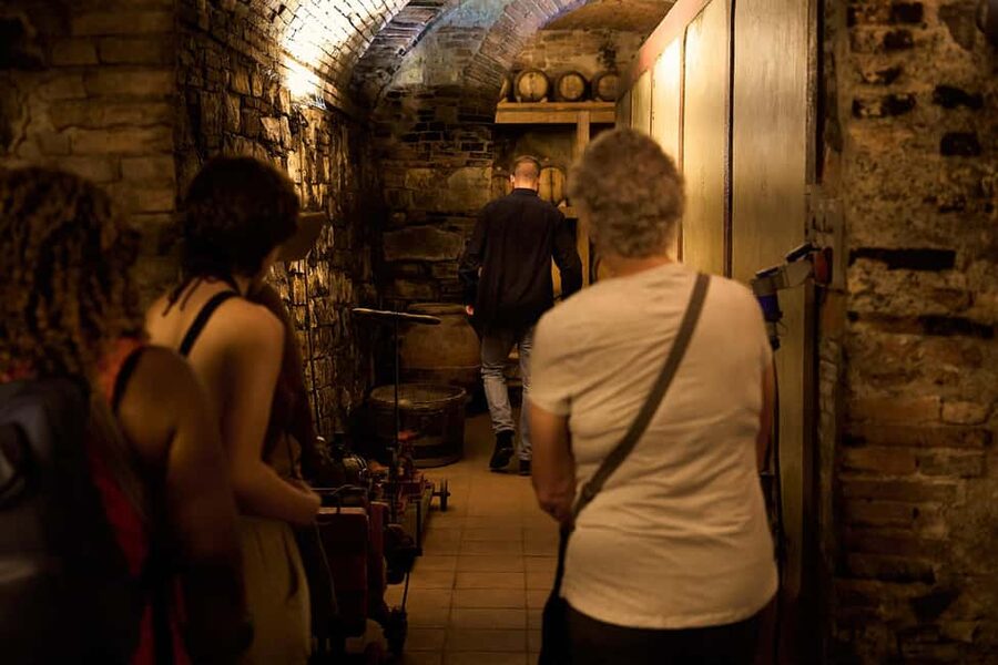 Florence: Great Chianti Wine and Olive Oil Trail with Lunch - Wine tasting at three wineries: how the day is built for learning
