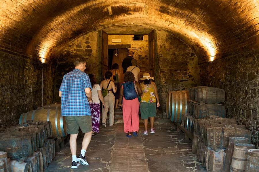 Florence: Great Chianti Wine and Olive Oil Trail with Lunch - The Tuscan lunch and wine pairings: what to expect, and what to watch for