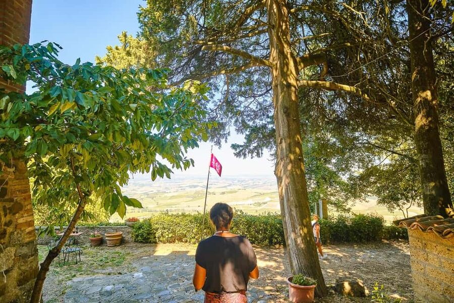 Florence: Orcia Valley, Montalcino, Pienza with Lunch & Wine - Temple of Brunello museum: a multi-sensory way to understand Brunello