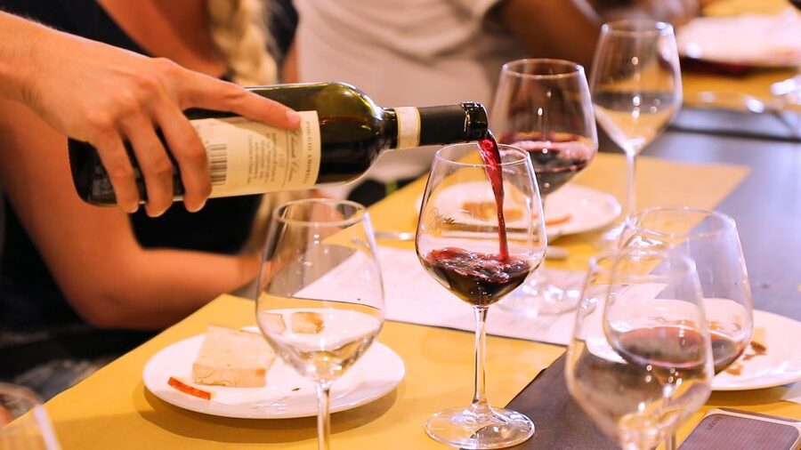 Florence: S. Gimignano, Siena, Chianti & Wine Tasting Lunch - Who This Tour Suits Best