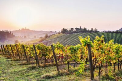 Florence: Siena & San Gimignano Day Trip with Lunch & Wine - Siena walking tour: medieval streets with an expert guide