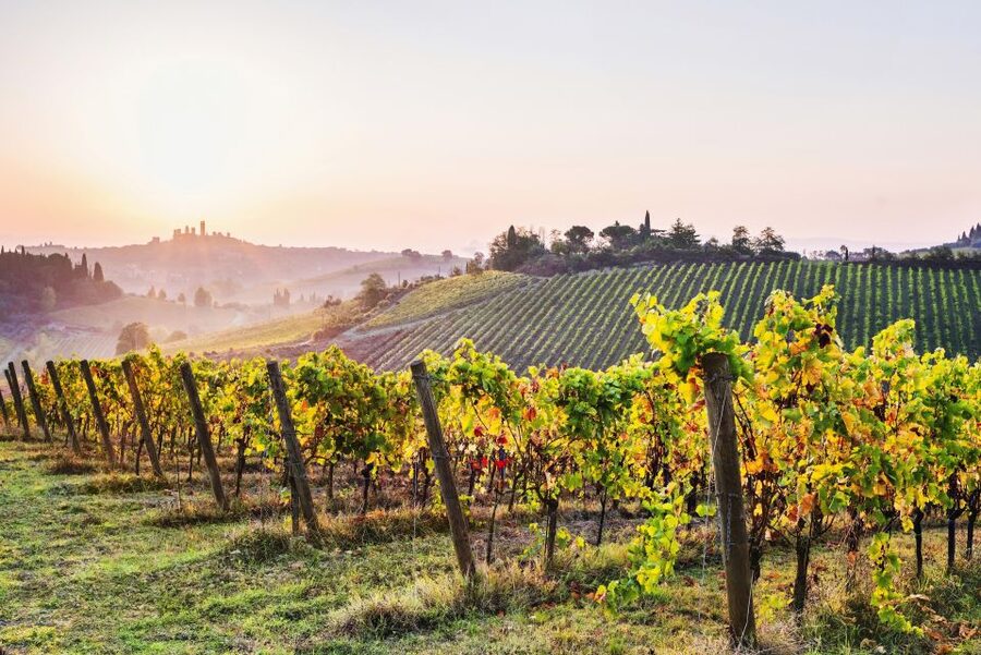 Florence: Siena & San Gimignano Day Trip with Lunch & Wine - Siena walking tour: medieval streets with an expert guide