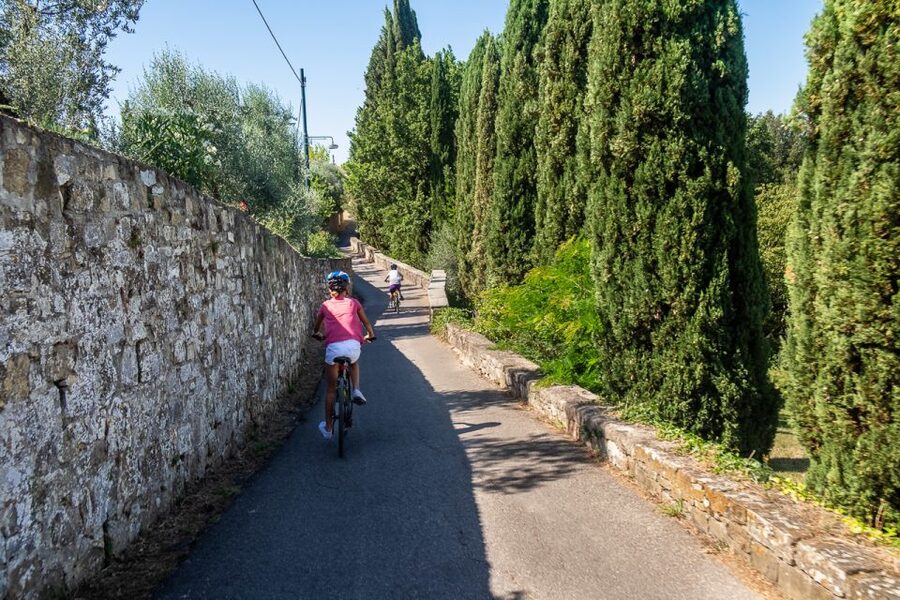 Florence: Tuscany Bike Tour with Wine & Olive Oil - Key highlights worth showing up for