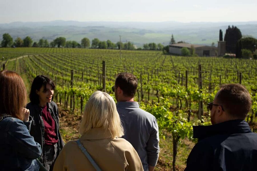 Florence: Valdorcia Wine, Brunello Montalcino, Montepulciano - Why Val d’Orcia works so well for a Florence day trip