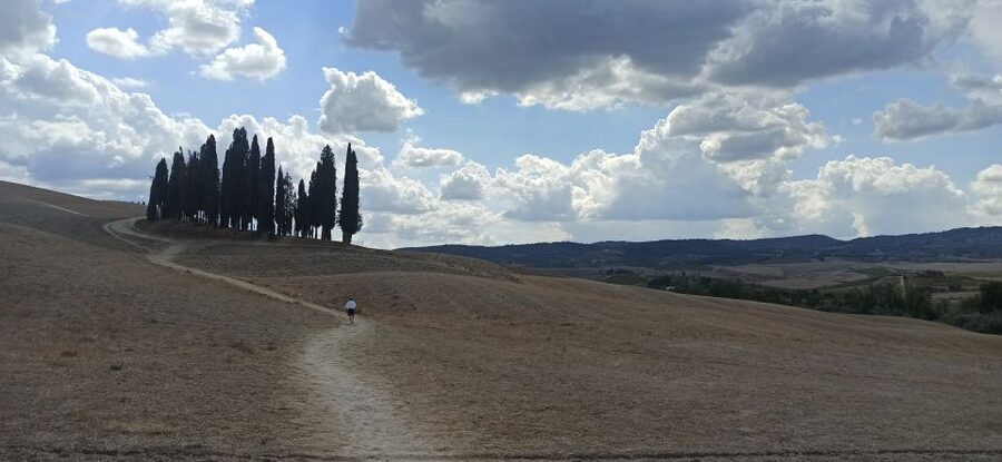 Florence: Valdorcia Wine, Brunello Montalcino, Montepulciano - Pienza lunch in a former convent garden and Pecorino shopping time