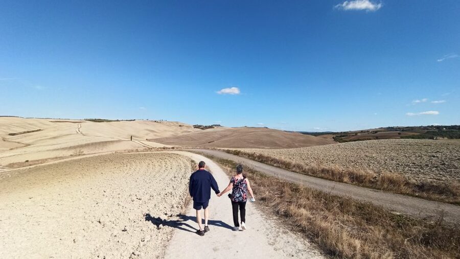 Florence: Valdorcia Wine, Brunello Montalcino, Montepulciano - Montepulciano’s underground city: caves, Vino Nobile, and olive oil tastings