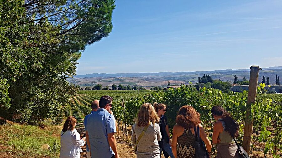 Florence: Valdorcia Wine, Brunello Montalcino, Montepulciano - How many tastings you’ll realistically get (and how to pace them)