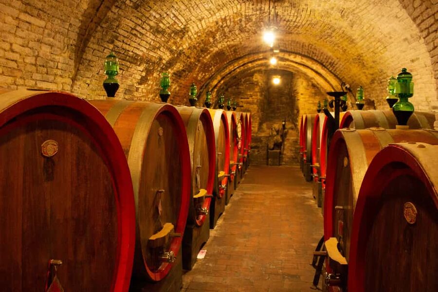 Florence: Valdorcia Wine, Brunello Montalcino, Montepulciano - Price and logistics: what $265 per person is paying for
