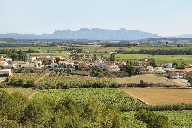 Food and Wine Small Group Tour from Barcelona - Maximum 8 people - Who this tour suits best (and who should think twice)
