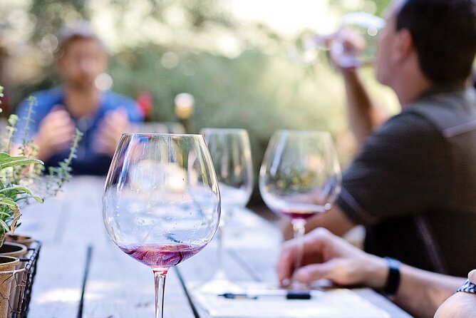 Food & Wine Lovers Tour of Nice Local Markets and Best Shops - Colline du Château ending: the Castle Hill picnic with wine and pastries