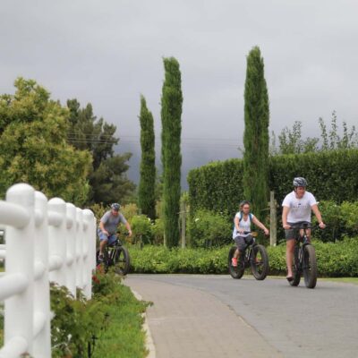 Franschhoek: E-Bike Guided Winery Tour - Guided E-Biking Through Franschhoek: Views Without the Sweat Tax