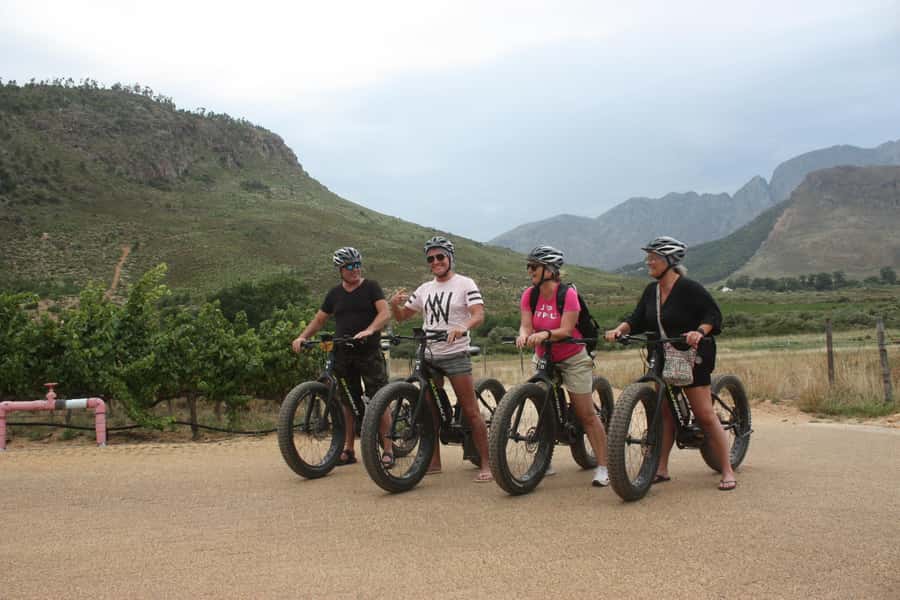 Franschhoek: E-Bike Guided Winery Tour - The Small Group Advantage: Easier Questions, Better Pace