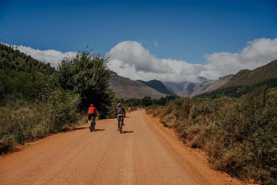 Franschhoek: E-Bike Guided Winery Tour - Who This Tour Is Best For (and Who Might Want Another Option)