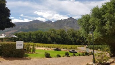 Franschhoek & Stellenbosch: Full-Day Wine Tour - Price and value: what $1,617 buys you in practice