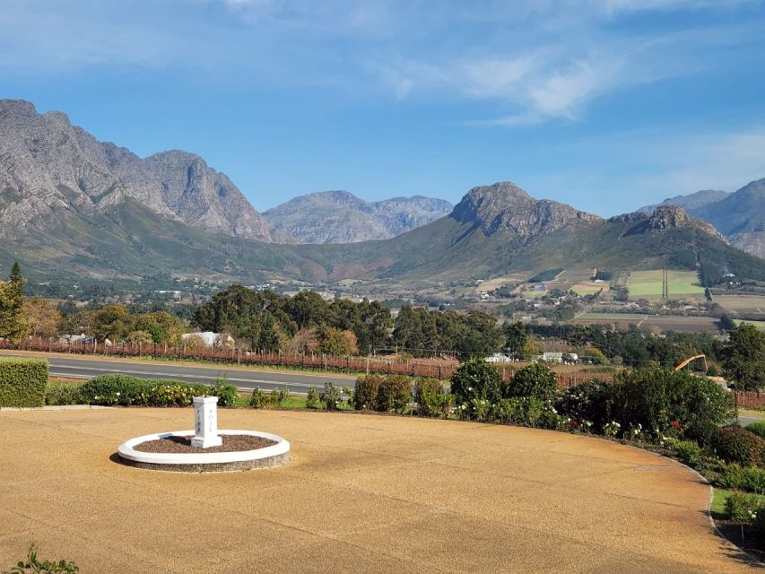 Franschhoek & Stellenbosch: Full-Day Wine Tour - Inside the cellar and vineyard lesson: what you’ll remember later