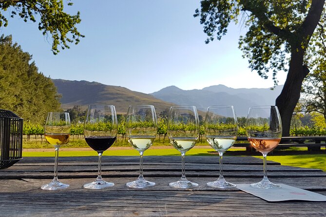 Franschhoek wine Tram & Stellenbosch Town Full day tour - Stellenbosch first: a calm start before the wine schedule