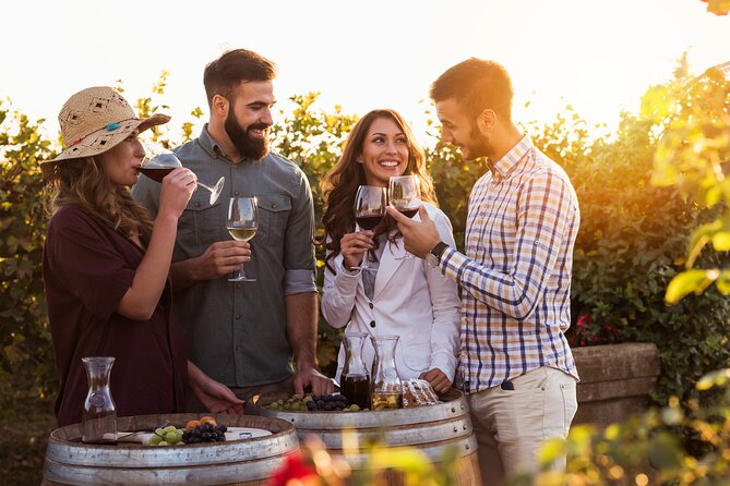 Franschhoek wine Tram & Stellenbosch Town Full day tour - Tokara: modern tasting with serious views