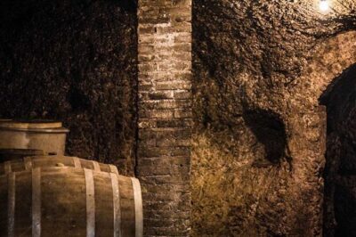 Frascati Day Tour: Road from Rome with Wine Tasting & Lunch - Getting to Frascati: Termini Timing That Matters