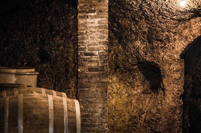Frascati Day Tour: Road from Rome with Wine Tasting & Lunch - Getting to Frascati: Termini Timing That Matters