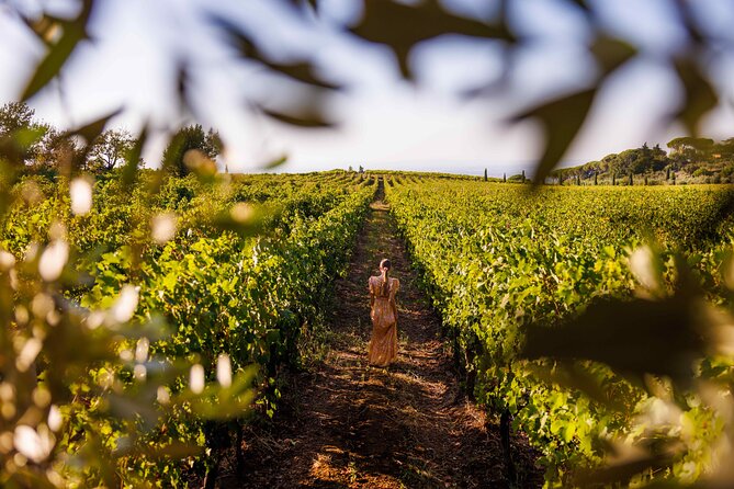 Frascati Escape: Private Countryside Wine Tasting Tour - The real star: wine plus olive oil, not just a sip-and-go