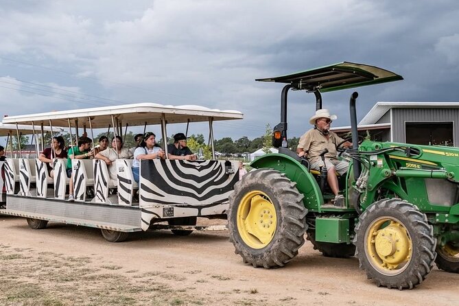 Fredericksburg Safari Tour With Wine Tasting - Key highlights before you go