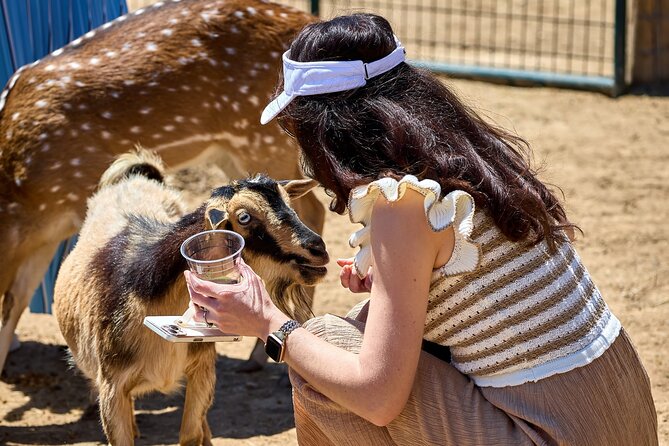 Fredericksburg Safari Tour With Wine Tasting - Value for $96.76: what makes it feel worth it